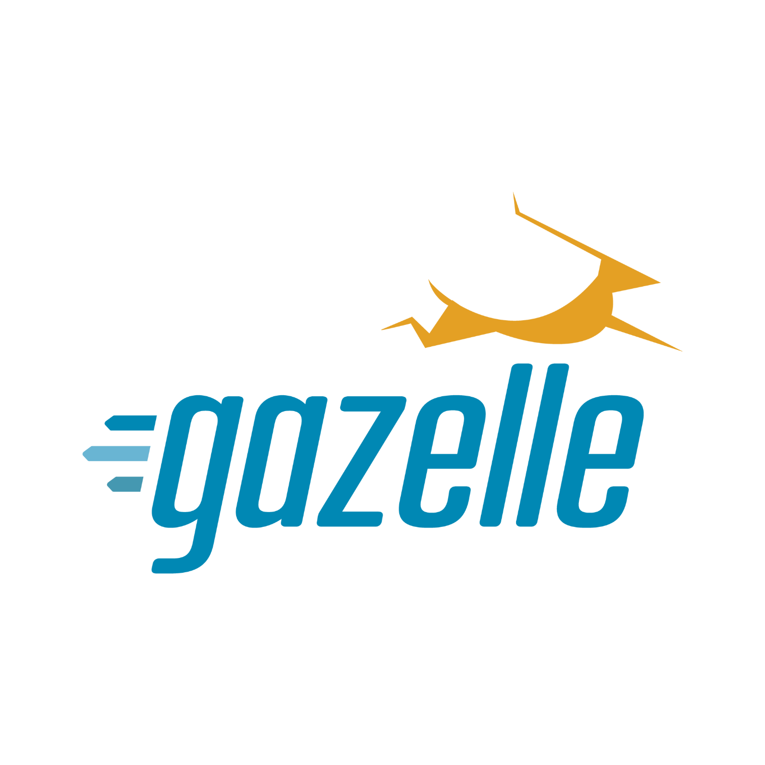 Gazelle - orGAniZing accELaration for high-potentiaL innovativE SMEs